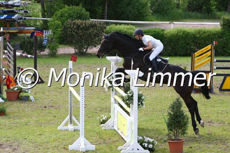 204M6531_Jack Pot_Spring Mx.JPG